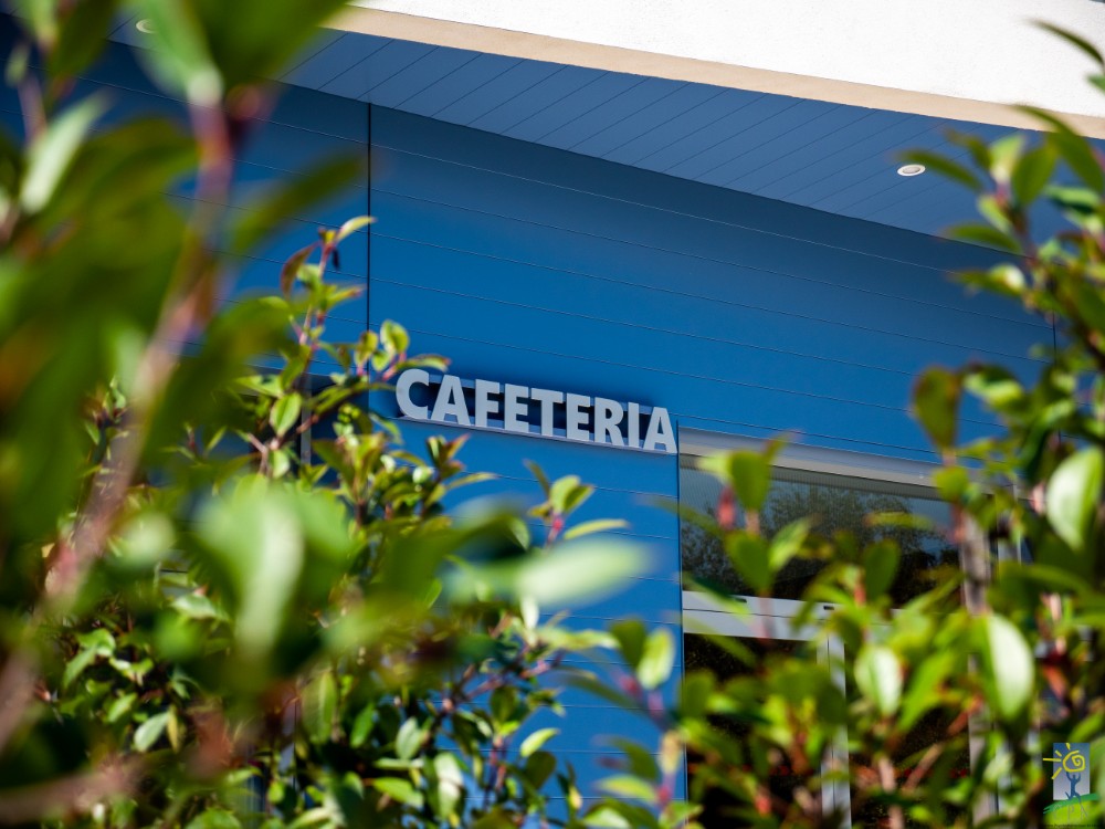 restauration - cafeteria (1)
